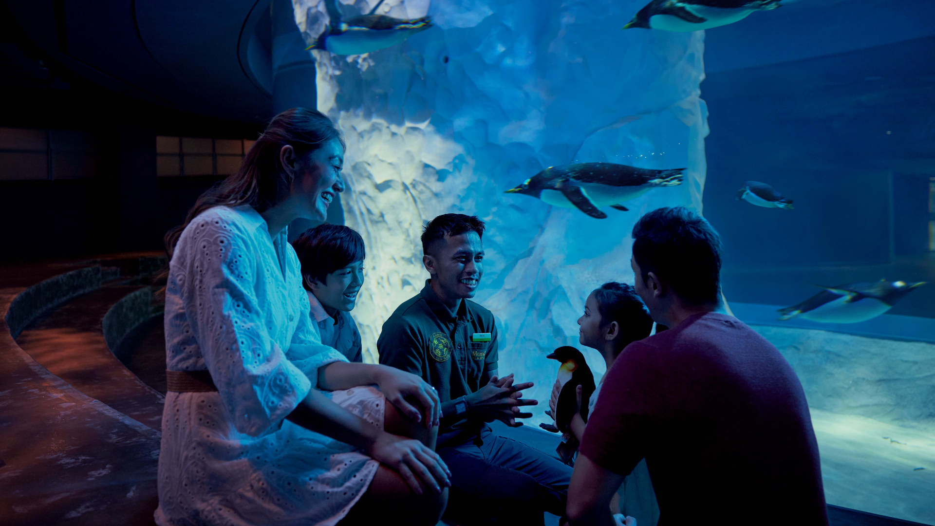 Explore the diverse wildlife, encounter fascinating species, and immerse yourself in the beauty of Mandai Wildlife Reserve’s lush landscapes.